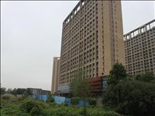 丽水金城园实景图(3)