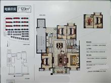 中梁壹号院户型图(3)