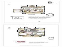 龙湖阳光城璞悦|春江郦府户型图(3)