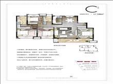 龙湖阳光城璞悦|春江郦府户型图(2)