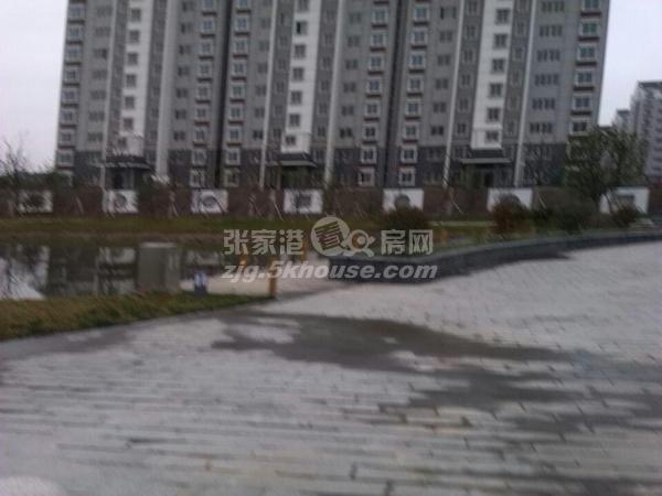 超好的地段,升值潜力大,新南社区 125万 2室1厅1卫 毛坯