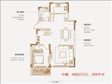 金科博翠名邸户型图(3)